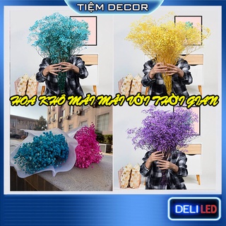 Hoa BaBy Khô, Hoa mini trang trí decor phòng ngủ, đám cưới, chụp ảnh sản phẩm đẹp, Xuất xứ Đà Lạt Chọn Màu, Chọn Mẫu
