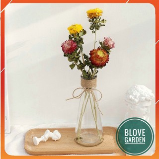 Lọ hoa tam giác, Bình thủy tinh cuốn dây thừng, dây gai cuốn decor, trang trí vintage