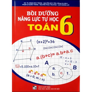 Sách Bồi dưỡng năng lực tự học Toán 6