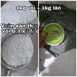 1kg Phân Lân Lâm Thao + 1kg Vôi Nông Nghiệp Bộ Đôi Cải Tạo Đất Trước và Sau Khi Trồng Cây