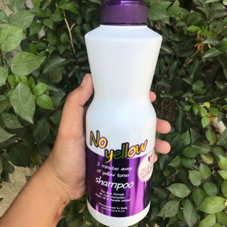 Dầu gội khử ánh vàng NO YELLOW Bingo 500ml