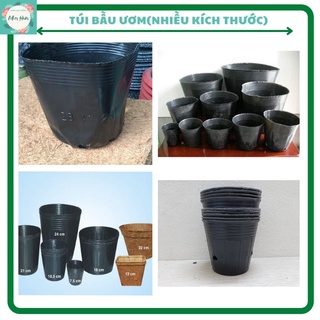 Túi bầu ươm cây- 1kg  (Kích thước: 15x13, 16x14, 18x16, 21x17, 23x18, 26x21, 28x25, 30x28, 36x30 CM) DỄ DÀNG SỬ DỤNG