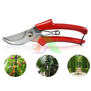 Kéo tỉa cây SK-1, Kéo cộng lực cắt cành, Kìm bấm tỉa cây bon sai mỏ cong