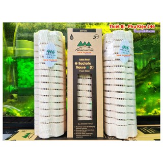Sứ củ sen xoắn ốc thế hệ 3 - Bacteria House - Mountain Tree Root 3