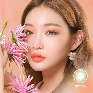 [Lens 1 Ngày] Áp Tròng LIGHLY LILY BROWN - LENS TOWN KOREA Lens Ẩm Cao Không Giãn Tự Nhiên, Phù Hợp Cho Mắt Nhạy Cảm