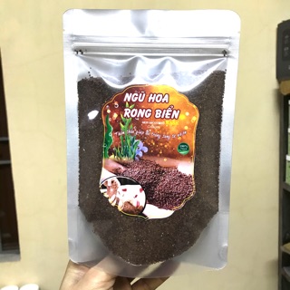 [ hạt to loại 1]Hạt ngũ hoa rong biển hạt đình lịch câu cá handmade (100g)