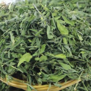 Lá alfalfa, nguyên lá không có cuộng dành cho Thỏ con, thỏ chỉ ăn lá 100g