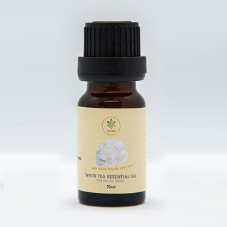Tinh dầu Trà Trắng HEIWA nhập khẩu Ấn Độ có giấy kiểm định, dung tích 10ml thơm phòng, khử mùi cực kỳ thư giãn