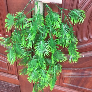 Bụi rủ lá cọ cao cấp - Cây lá giả