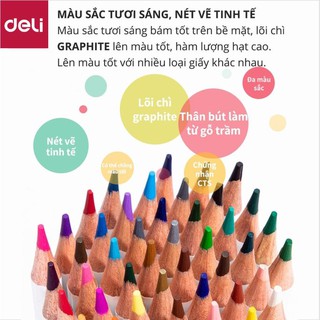 Bút chì màu gốc dầu cao cấp Deli - 48 màu - 1 Hộp - 68112 [Deli]