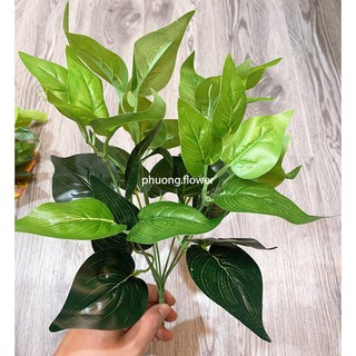 Cây giả decor đủ loại size nhỏ cao 34cm 7 nhánh lá bằng nhựa siêu bền dẻo dai cây giống thật 99% trang trí tuyệt đẹp