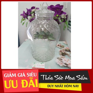Combo 2 Bình Bầu Kim Cương 3 lit - Hũ Ngâm Sâm Cao Cấp 3 lit
