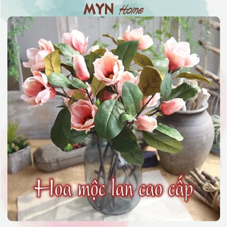 Cành Hoa Mộc Lan Cao Su - Hoa giả cao cấp dài 74cm