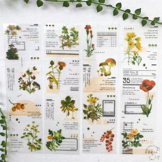Set 4 sticker vintage hoa lá xanh retro và nấm đỏ