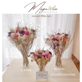 Set Bình lọ thuỷ tinh lá cỏ khô trang trí chụp ảnh sản phẩm decor nhà cửa, phòng khách Bắc Âu vintage