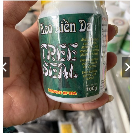 KEO LIỀN DA CÂY TREE SEAL