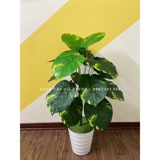 trầu bà đốm kèm chậu to- cây giả 18 lá - 80cm