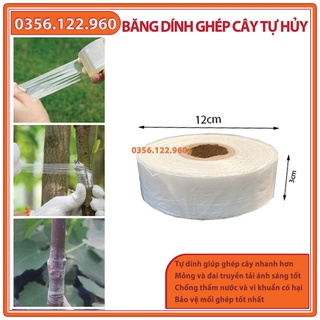 Set: 3 cuộn giấy ghép cây tự hủy - khổ 3cm -Chuyên dùng trong ghép cành, tỉa cành, tạo dáng