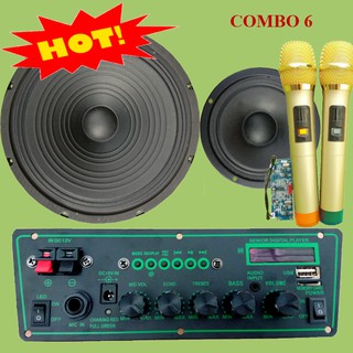 Mạch loa kéo 3 tấc đơn HA8622 - Rẽ quạt