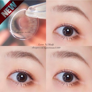 Lens Hàn xám tự nhiên MH2645(0-6 độ)