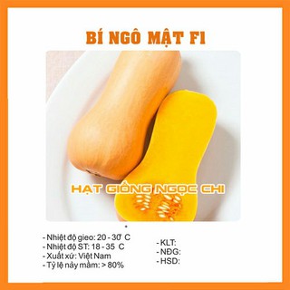 Hạt Giống Bí Ngô Mật F1 - 10 Hạt