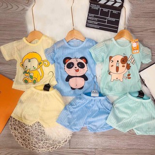 [XẢ LỖ] Bộ cộc cotton giấy in hình