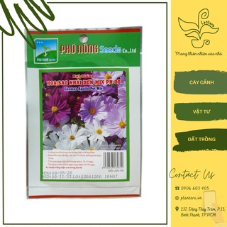 HG PN - Hoa sao nhái đơn MIX PN-06 Gói 10 Hạt - Hạt Giống - Hoa