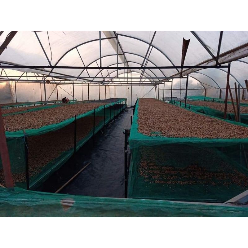 Cà phê rang xay mộc