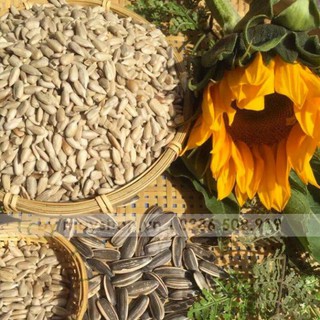 Hạt hướng dương tách vỏ (100g)
