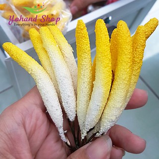 Nhụy hồng môn màu vàng làm hoa vải voan ( giá/10 cái)