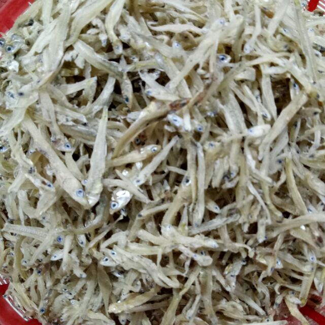 CÁ BỜM SỮA