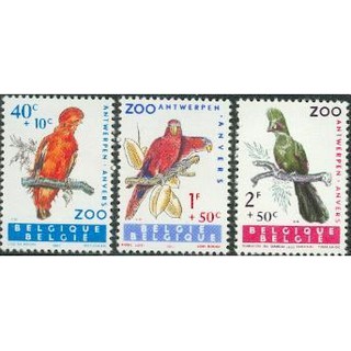 Tem sưu tập Tem Bỉ Chim  ( 3 tem )