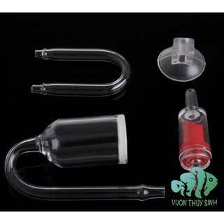 Cốc sủi CO2 thuỷ tinh + ống chữ U chống gập + van một chiều