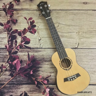 (SIÊU PHẨM) ĐÀN UKULELE CONCERT MẶT VÀNG VÁT VIỀN