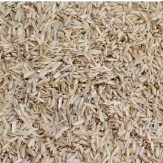 Trấu Sống -500gr - Trộn Đất Trồng Cây Trong Chậu