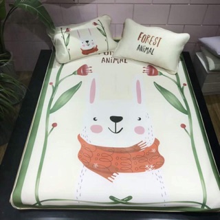 Set chiếu lụa cotton có M6 và M8