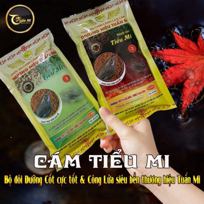 Cám tiểu mi số 2