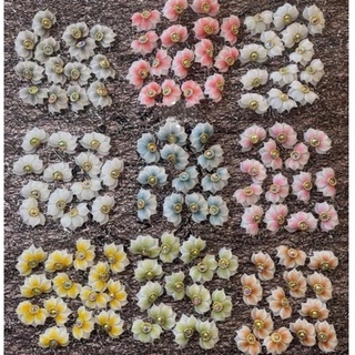 hoa nail hoa bột ( cúc nửa nhọn)