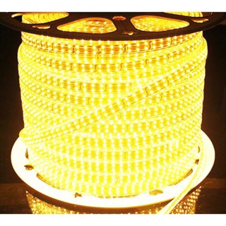 LED dây 3 hàng bóng 100m trang trí dịp tết  ( tặng kèm 3 bộ rắc nguồn)