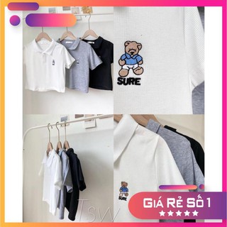 [RẺ VÔ ĐỊCH] Áo Croptop Polo - Áo Croptop Cổ Bẻ Nữ Thêu Gấu Ulzzang