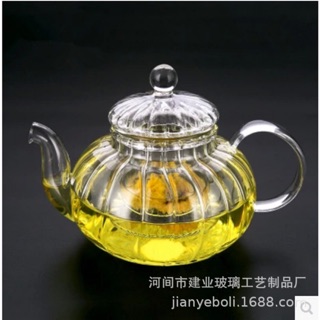 Ấm lõi lọc thuỷ tinh soắn 600ml