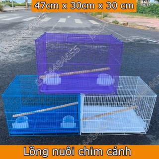 [Mã PET50 giảm 10% - tối đa 50K đơn 250K] Lồng nuôi chim - Lồng nuôi chim Yến phụng ( size 47 cm x 30 cm x 30 cm )