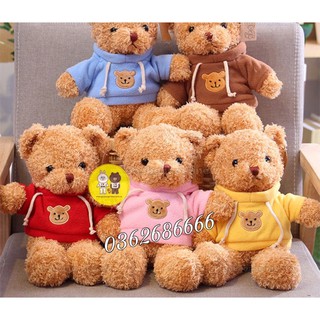 Gấu Teddy - Teddy áo hoodie đội mũ cao cấp - Xưởng Gấu Bông Việt Nam