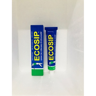 Kem Ecosip ( tuýp 45g)