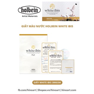 Set giấy postcard màu nước Holbein White Ibis 300gsm - vân cold pressed - 2 size