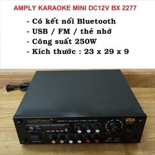 Amply Karaoke mini AC / DC 12V bluetooth / USB / thẻ SD / Radio CALIFLOWER BX2277