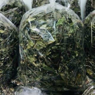 1kg chè vằng sẻ lợi sữa cho mẹ gói y hình