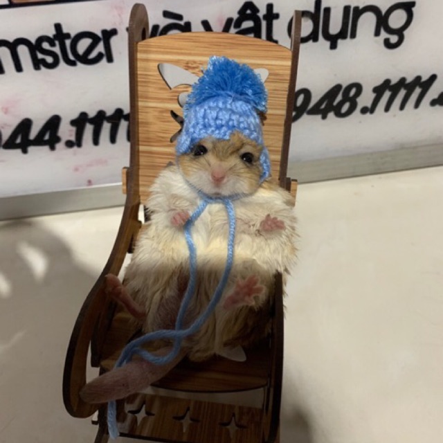Nón cho hamster