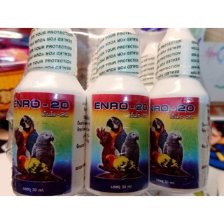 Phòng ngừa và trị cảm lạnh,sổ mũi cho Vẹt