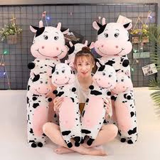 Gấu bông Gối ôm chú bò sữa dễ thương (60cm--->1m2)
